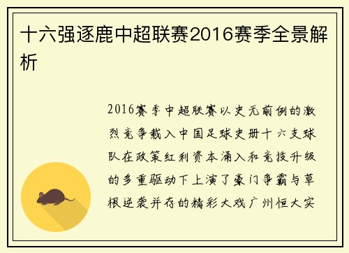 十六强逐鹿中超联赛2016赛季全景解析